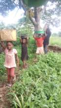My children gladly helping on farm