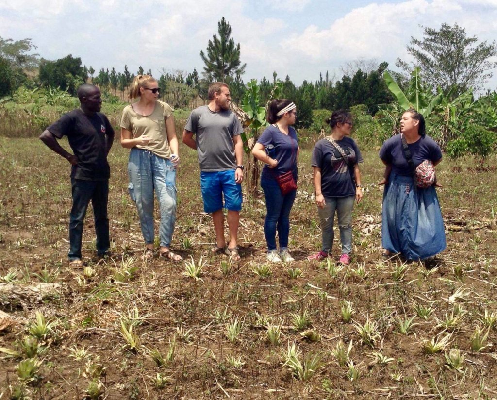 Volunteers helping to garden
