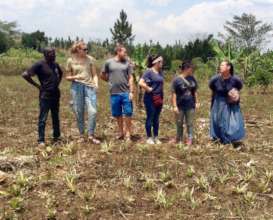 Volunteers helping to garden