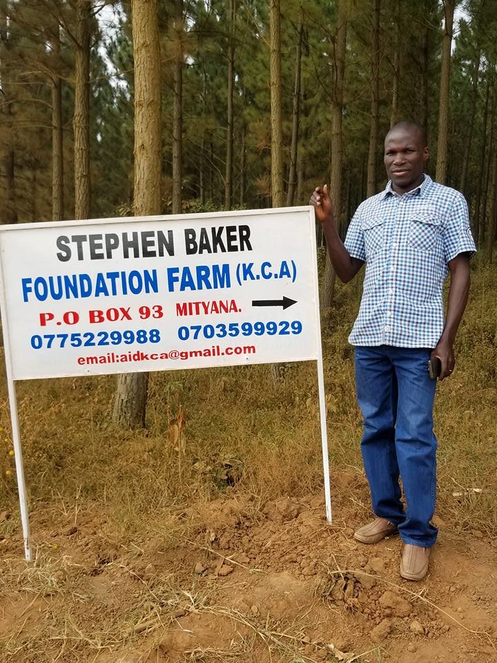 Help us plant 1 acre of banana trees