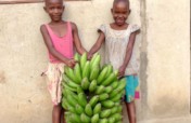 Help us plant 1 acre of banana trees