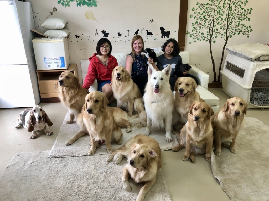 Help Support 21 Nonprofits in Japan