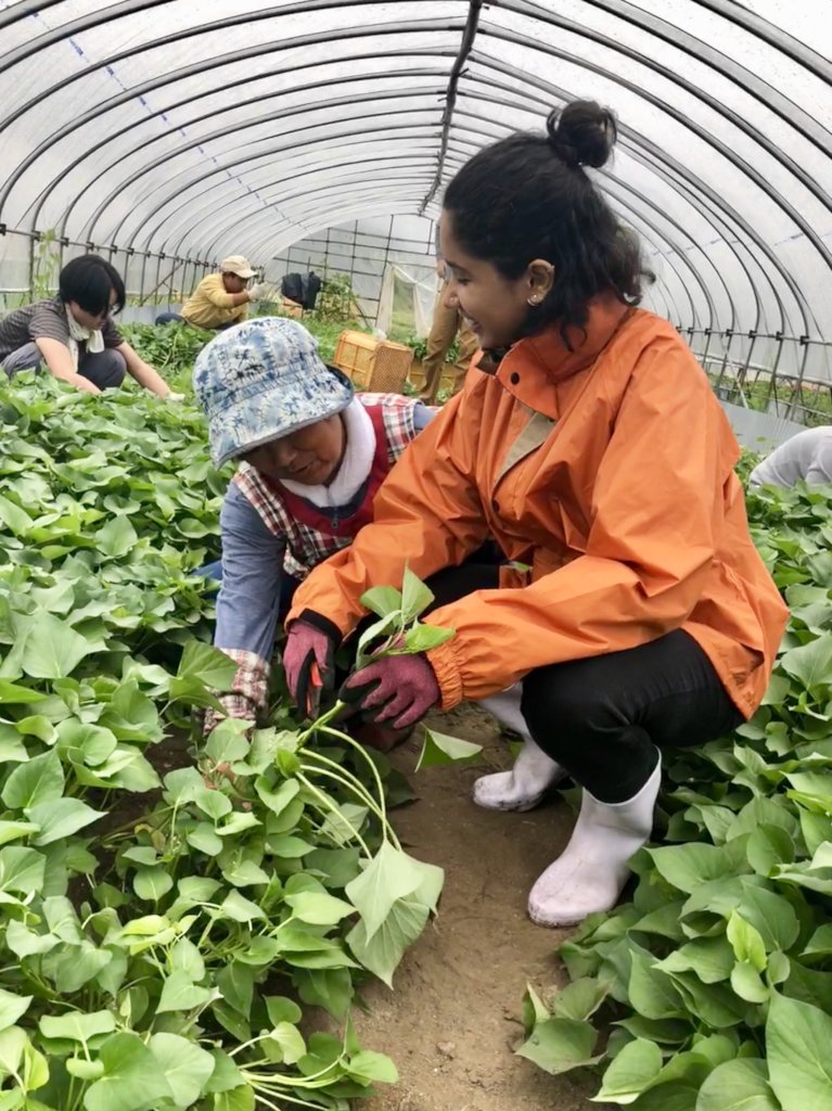 Help Support 21 Nonprofits in Japan