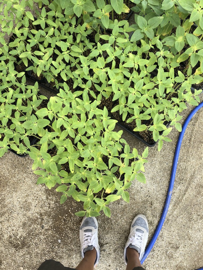 Help Support 21 Nonprofits in Japan