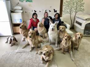 NPO Japan Animal Therapy Association