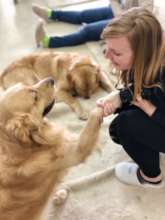 NPO Japan Animal Therapy Association