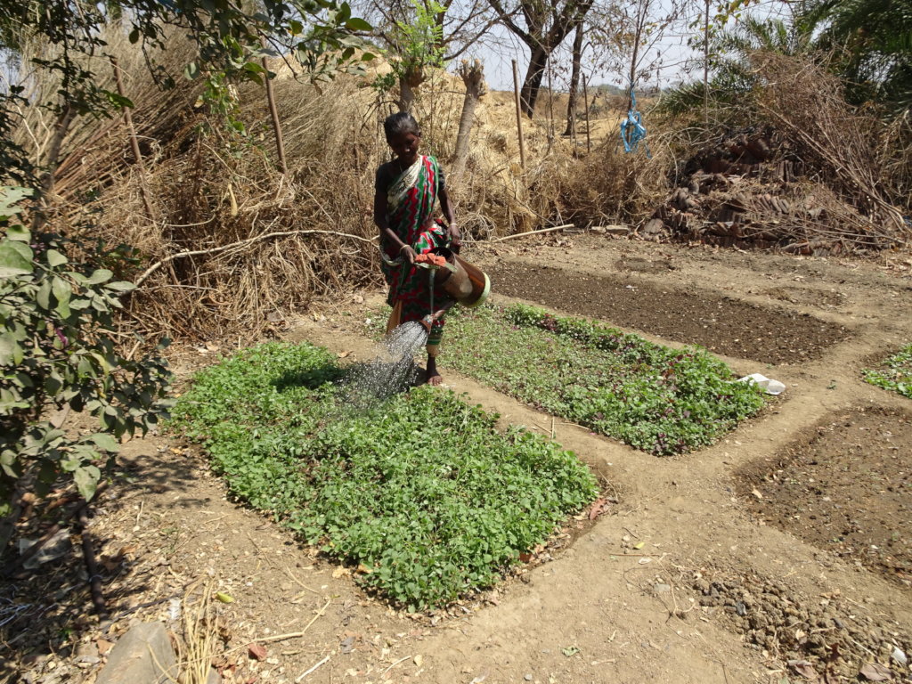 Plant Kitchen Gardens for Mothers in India