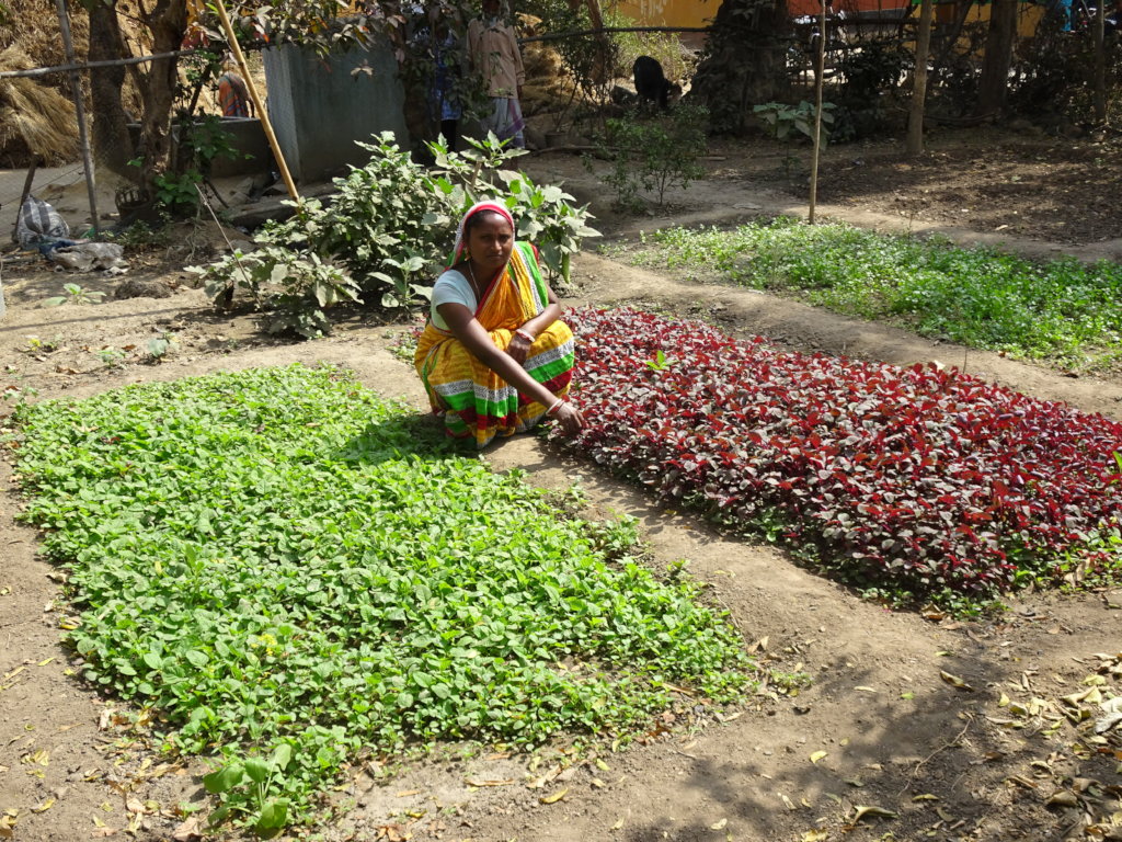 Plant Kitchen Gardens for Mothers in India