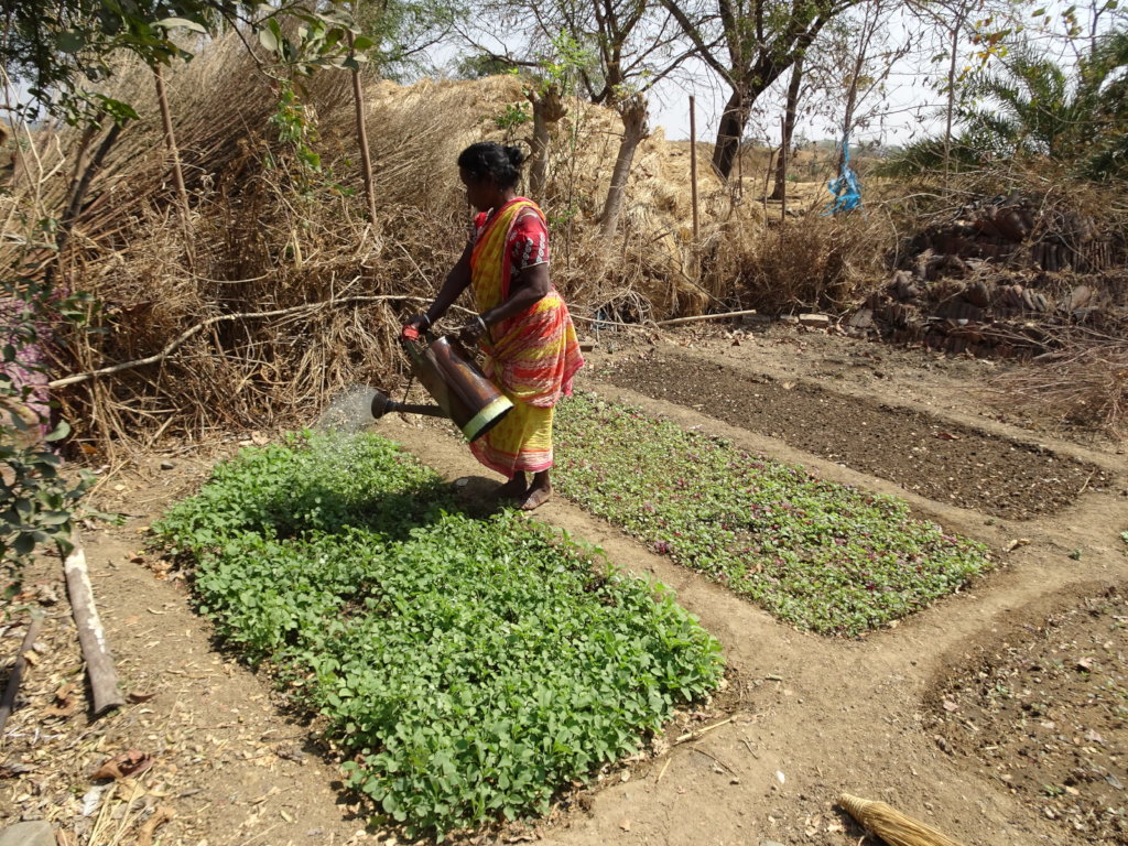 Plant Kitchen Gardens for Mothers in India