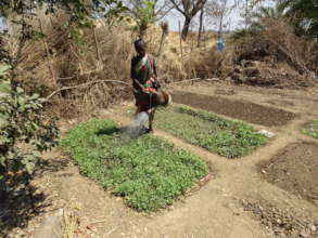 Child Watering Kitchen Garden in India