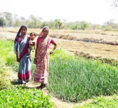 Family in Kitchen Garden