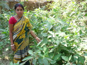 An Indian Mother in the Kitchen Garden