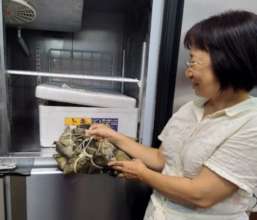 Collecting food from community refrigerator