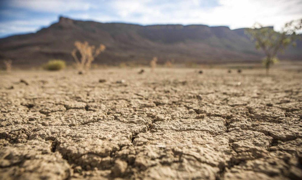 Help investigate Eco-Crimes in Southern Africa