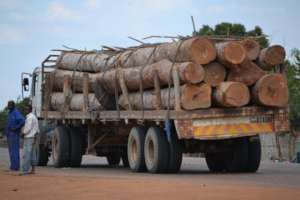 Timber smuggling