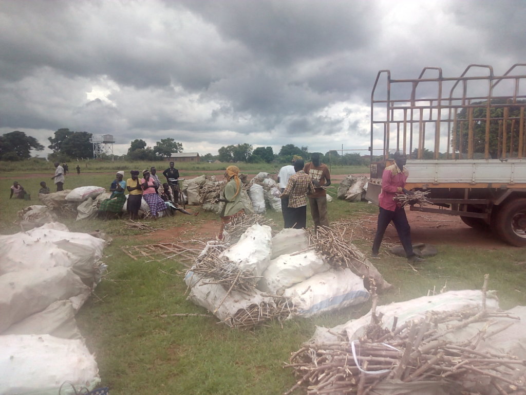 Agricultural Extension Support Activity Project