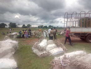Agricultural Extension Support Activity Project