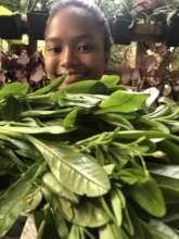 Promoting food production