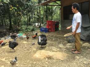Establishing supply hubs