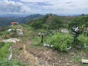 vegetable-base food production