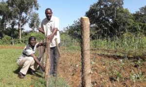 Working on the fence