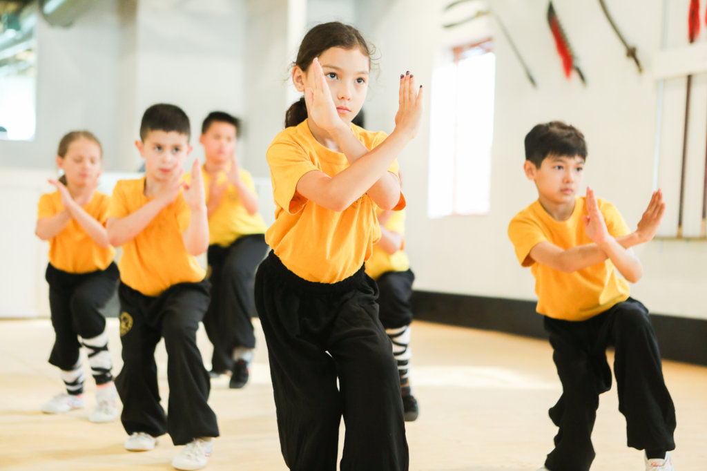 Help Canada Represent at the Shaolin Olympics 2018