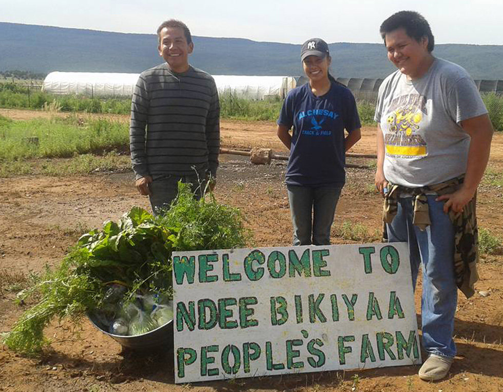 Train 3 Building Instructors for Apache Builds