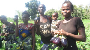 Harvest time