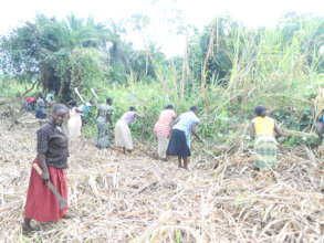 Empower 103 Households for their Livelihoods