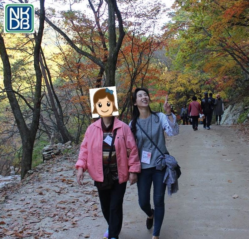 Storybooks by N. Korean Women Victims of Torture