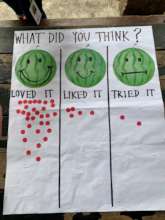What did they think?