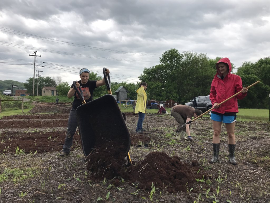 Volunteer Work Day
