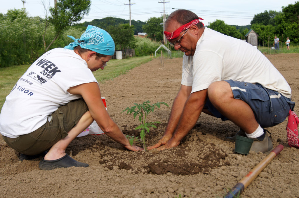 Rebuild the Nelsonville Community Garden