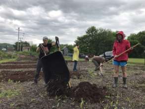 Volunteer Work Day