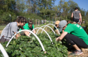 Rebuild the Nelsonville Community Garden