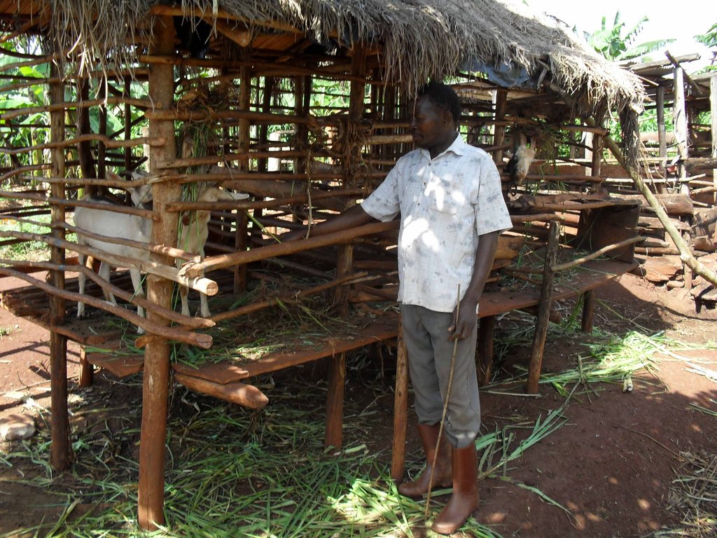MOBILIZING COMMUNITY ACTION ON AIDS IN UGANDA