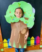 Celebrating nature and trees