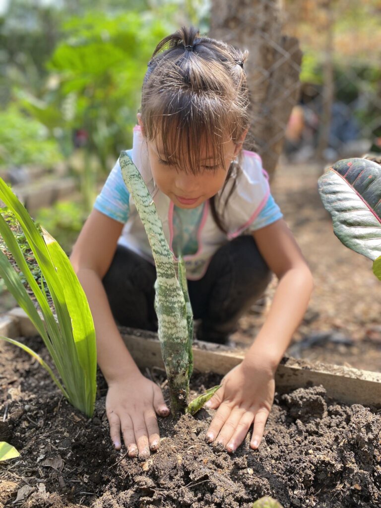 Caring for our green spaces on Earth Day