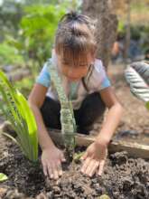 Caring for our green spaces on Earth Day