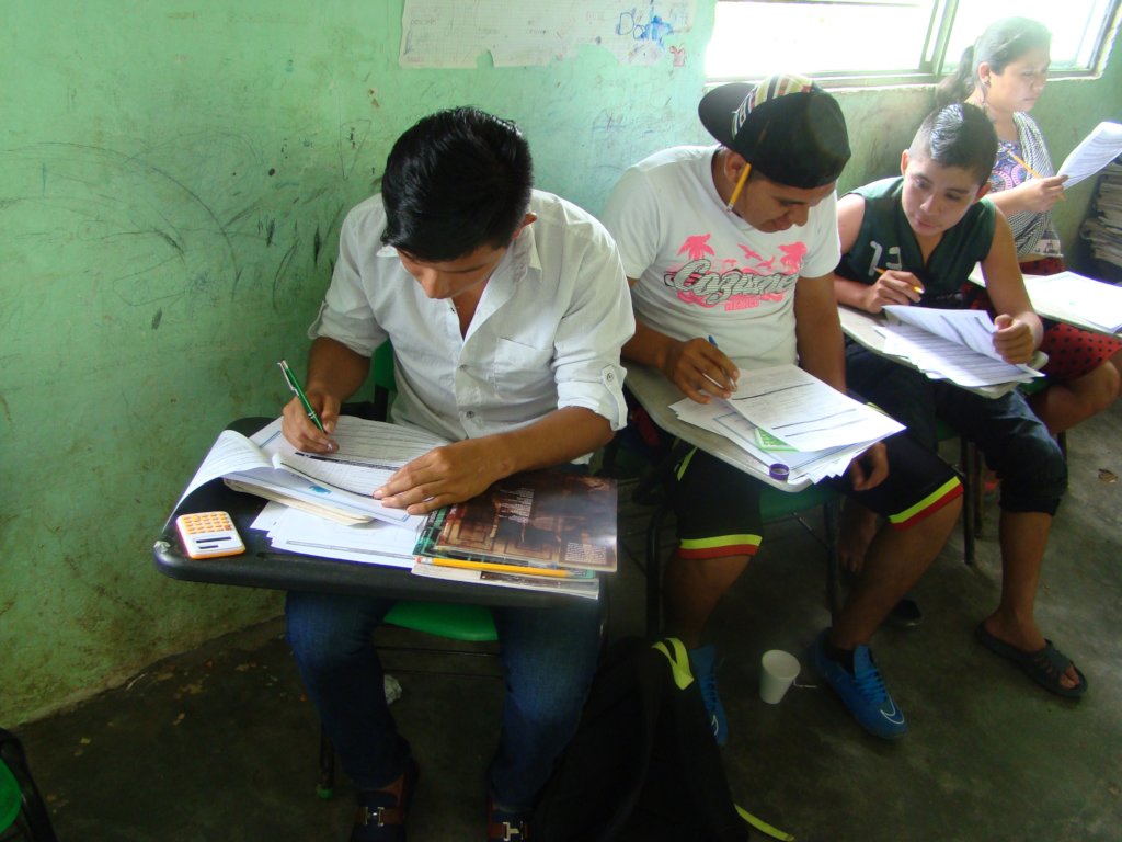 Employment for young adults in honey coops