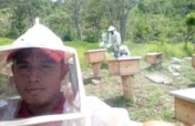 Employment for young adults in honey coops