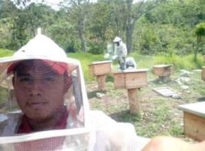 Employment for young adults in honey coops