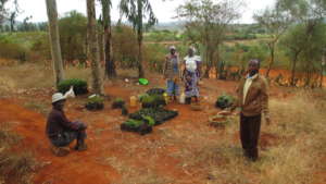 Agriculture lessons for community members