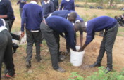 Giving Children a Chance to Learn and Grow