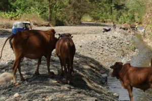 The current source of water