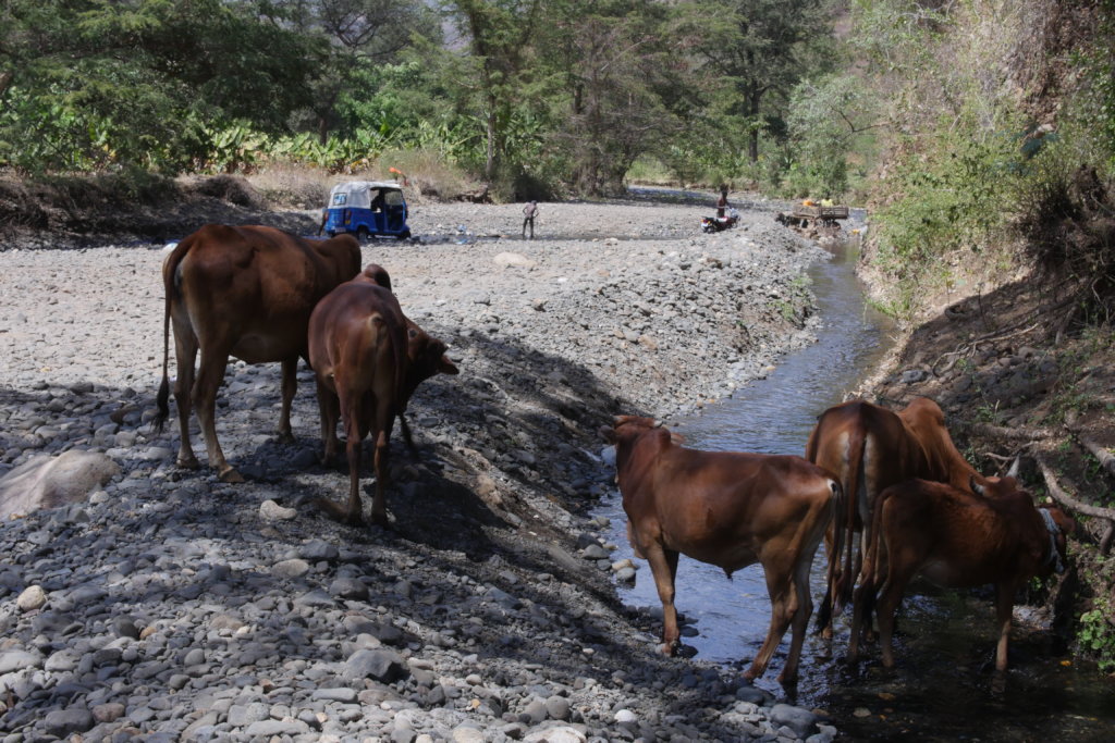 Help HOPE bring clean water to Chano Dorga
