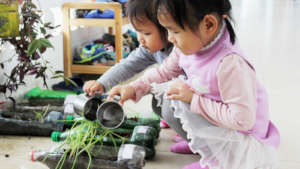 Plants - what better way to learn about nature?