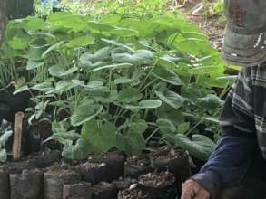 improving food production