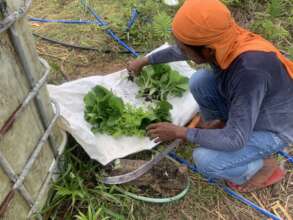 providing small livelihoods to farmers