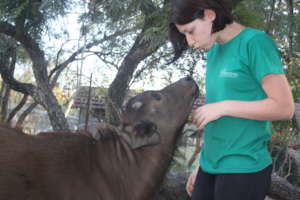 Chimoya and a volunteer